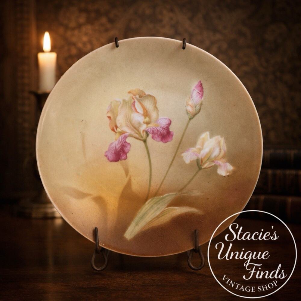 Beautiful Vintage RS Prussia Hand Painted Iris's Decorator Plate